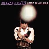 Little Steven - Voice Of America (2CD)