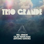 Vinson/Hekselman/Sanchez - Trio Grande