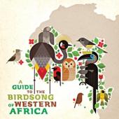 V/A - A Guide To The Birdsong Of Western Africa (LP)