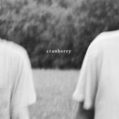 Hovvdy - Cranberry (LP)