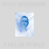 Gundersen, Noah - A Pillar Of Salt (LP)