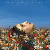 Pineapple Thief - Magnolia (LP)