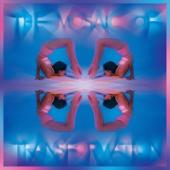 Smith, Kaitlyn Aurelia - The Mosaic Of Transformation (Clear Vinyl) (LP)
