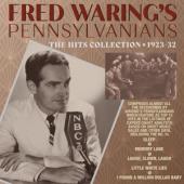 Waring, Fred -Pennsylvanians- - Hits Collection 1923-32 (2CD)