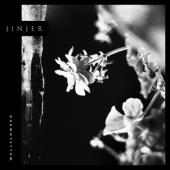 Jinjer - Wallflowers (LP)