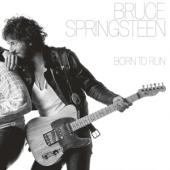 Springsteen, Bruce - Born To Run (LP)
