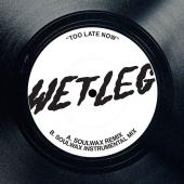 Wet Leg - Too Late Now (12INCH) (Soulwax Remix)