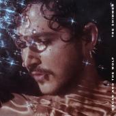Oscar & The Wolf - The Shimmer (LP)