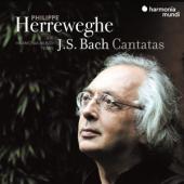Collegium Vocale Gent Philippe Herr - Bach Cantatas (17CD)
