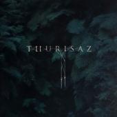 Thurisaz - Re-Incentive (2LP)