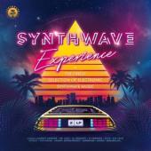 Various Artists - Synthwave Experience (2LP)