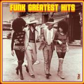 Various Artists - Funk Greatest Hits (2LP)