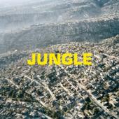The Blaze - Jungle (LP)