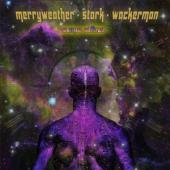 Merryweather Stark Waterman - Cosmic Affect (LP)