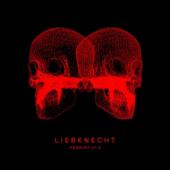 Liebknecht - Produkt V1.2 (Red Vinyl) (LP)