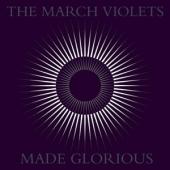 March Violets - Made Glorious
