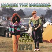 V/A - High In The Morning  (British Progressive Pop Sounds Of 1973) (3CD)