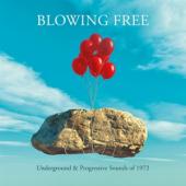 V/A - Blowing Free (Underground And Progressive Sounds Of 1972) (4CD)