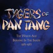 Tygers Of Pan Tang - Wreck-Age/Burning In The Shade (3CD)