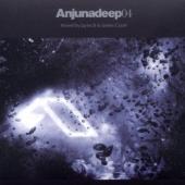V/A - Anjunadeep04 (Mixed By Jaytech & James Grant) (2CD)