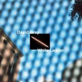 Gray, David - White Ladder (20Th Anniversary)