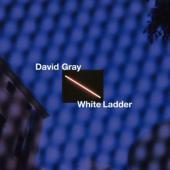 Gray, David - White Ladder (White Vinyl) (2LP)