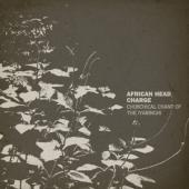 African Head Charge - Churchical Chant Of The Iyabinghi (LP)