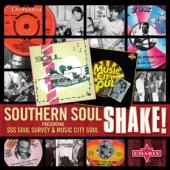 V/A - Southern Soul Shake (2CD)