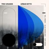 Vinson, Will / Gilad Hekselman / Nate Wood - Trio Grande: Urban Myth (LP)