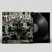 Terrorizer - Darker Days Ahead (LP)