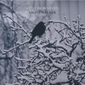 Ketil Bjornstad - Nightwalker (2CD)