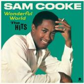 Cooke, Sam - Wonderful World - The Hits (LP)