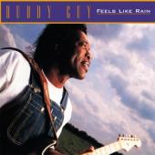 Guy, Buddy - Feels Like Rain (30Th Ann./Purple Coloured Vinyl) (LP)