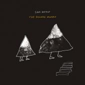 Amidon, Sam - Following Mountain (LP)