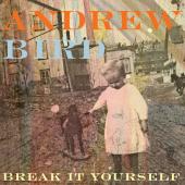 Bird, Andrew - Break It Yourself (LP) (cover)