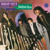 Barracudas - Drop Out With