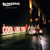 Blossoms - Cool Like You