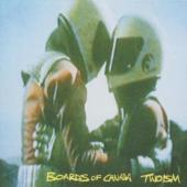 Boards Of Canada - Twoism (cover)