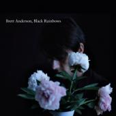Brett Anderson - Black Rainbows (cover)