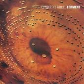 Catherine Wheel - Ferment (LP)
