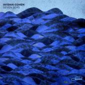 Cohen, Avishai - Seven Seas (cover)