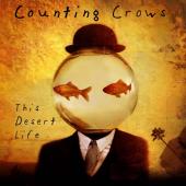 Counting Crows - This Desert Life (cover)