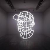 Dj Shadow - Reconstructed (Best Of) (2LP) (cover)