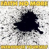 Faith No More - Introduce Yourself (cover)