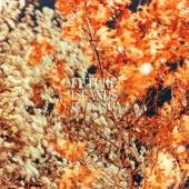Future Islands - In The Fall (Copper Vinyl) (LP)