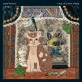 Yorkston, James - I Was A Cat From A Book (LP) (cover)