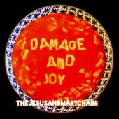 Jesus & Mary Chain - Damage and Joy (Casette)