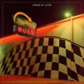 Kings Of Leon - Mechanical Bull (cover)