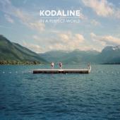 Kodaline - In A Perfect World (cover)