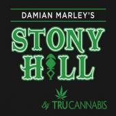 Marley,Damian 'Jr. Gong' - Stony Hill